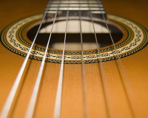 Collection image for: STRINGS