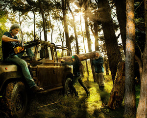 Collection image for: Sandberg Strings