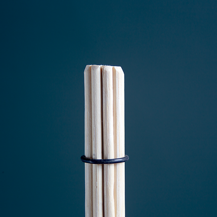 RamRods FOAMER LITES