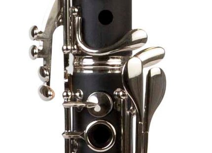 Clarinet Master 17 Keys CL200