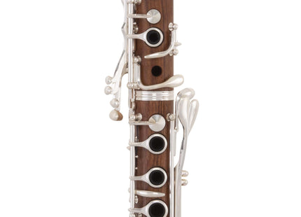 Bb Clarinet Master Rosewood CL400 + BG acc kit
