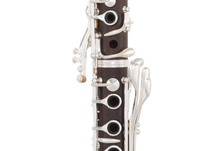 Bb Clarinet Grenadilla CL600 + BG acc kit