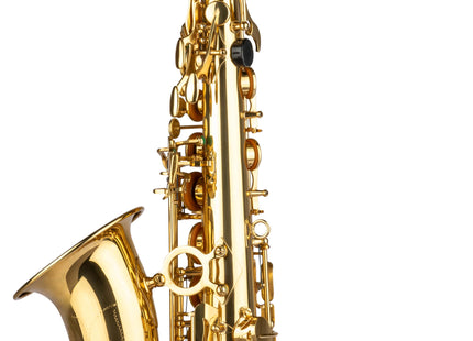 School Alt Sax Lacquered GR SAL700