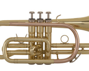 Collection image for: Ida Maria Grassi Cornet