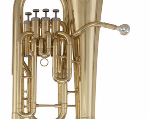 Collection image for: Ida Maria Grassi Euphonium