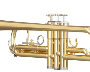 Collection image for: Ida Maria Grassi Master Bundles packages