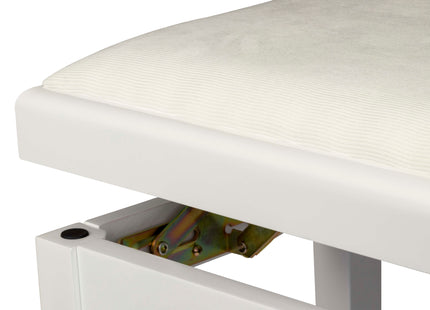 Proel Stage Piano Bench Matt white frame - single padded seat with white velvet cover PB90VSWWH