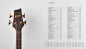 Sandberg Book "The Face of Bass" 40 Years Sandberg Guitars