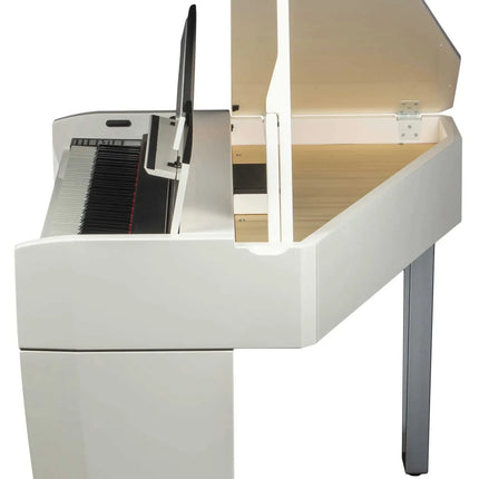 Dexibell Vivo Home H10MG