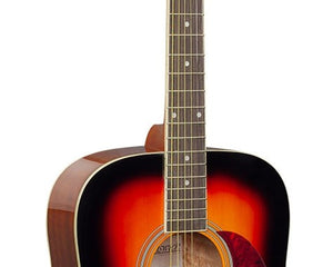 Collection image for: Brunswick Dreadnought BD200 Series