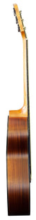 Brunswick Guitar Grand Auditorium Tobacco Burst BF200TB